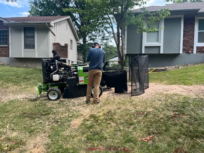 Stump Grinding